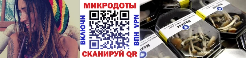дарнет шоп  Троицк  Псилоцибиновые грибы Psilocybe 