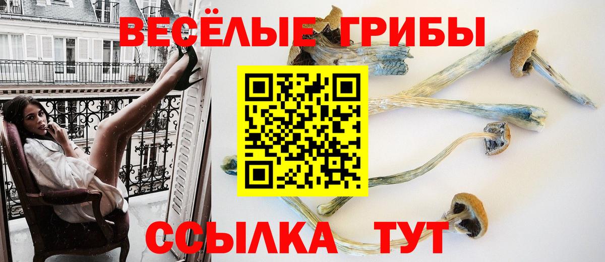 Псилоцибиновые грибы GOLDEN TEACHER  Вход с VPN  Троицк 